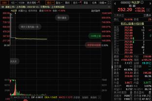 美记：太阳为篮网前锋罗伊斯-奥尼尔报价利特尔和两个次轮签